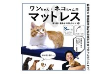 ワンちゃん・ネコちゃん用マットレス　(Sサイズ)【1131740】