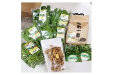 四條畷産・大阪産(おおさかもん)野菜4～6品目とお米3kgの詰め合わせ【1052609】