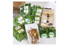 四條畷産・大阪産(おおさかもん)野菜4～6品目とお米3kgの詰め合わせ【1052609】