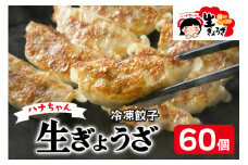 ハナちゃん生ぎょうざ 冷凍餃子 60個セット｜国産素材 生ぎょうざ 冷凍餃子 おかず  [0093]