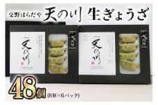 交野はらだや《天の川生ぎょうざ／48個》｜冷凍餃子 お取寄せ にんにく無し 旨味調味料保存料無添加 ヴィーガン 国産小麦使用 国産米粉使用 肉不使用 [0048]