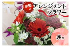 季節のアレンジメントフラワー赤系｜赤系 [0208]