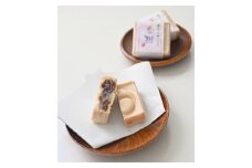 No.058 最中　大野ぶどう　香樹 ／ もなか 和菓子 自家製 干しぶどう 二色餡 大阪府 特産品