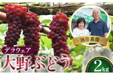 No.250 【人気につき100セット限定】池田農園の大野ぶどう（デラウェア）約2kg ／ 葡萄 ブドウ 高糖度 大阪府 特産品
