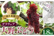 No.252 【口コミで広まった格別の甘さ】堀井農園大野ぶどう（デラウェア）1.8kg ／ 葡萄 ブドウ 高糖度 大阪府 特産品