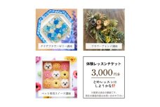 No.285 体験チケット　３０００円分 ／ 習い事 レッスン 達成感