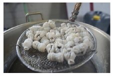 のぞみ 湯引 はも 350g 【2025年5月上旬から12月上旬発送予定】