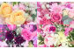 【指定日必須】【3ヶ月定期便】季節のお花定期便（花束）｜花 花束 フラワー フラワーギフト