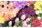 【3ヶ月定期便】季節のお花定期便（フラワーアレンジメント）｜花 フラワーアレンジメント フラワー フラワーギフト 定期便