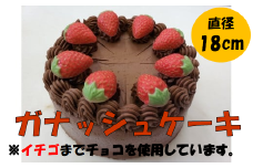 ガナッシュホールケーキ 6号 スイーツ ケーキ チョコレート チョコ ガナッシュ 冷凍 記念日 お祝い