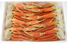ボイル ずわい蟹 4L サイズ 3kg （7 ～ 9肩） 【11】 かに カニ ずわい蟹 足 脚 ボイル しゃぶしゃぶ 鍋 海鮮 BBQ バーベキュー 冷凍