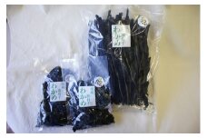 漁師がお届け 塩蔵わかめ 500g と 乾燥わかめ 200gセット 計700g わかめ 国産 詰め合わせ