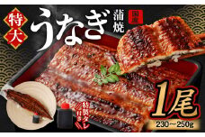 国産 うなぎ 蒲焼 1尾 （230 〜 250g） と 特製タレ 1個 セット 鰻 ウナギ 蒲焼き うなぎ蒲焼 セイロ蒸し せいろ蒸し タレ付 冷凍 父の日