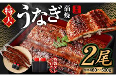 国産 うなぎ 蒲焼 2尾 （460 〜 500g）と 特製タレ 2個 セット 鰻 ウナギ 蒲焼き うなぎ蒲焼 セイロ蒸し せいろ蒸し タレ付 冷凍 父の日
