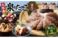大阪産 泉タコ （生たこ）  計1.3kg 650g（1～3杯）×2袋 魚介類 海鮮 タコ たこ 真蛸 スミ抜き 塩もみ処理 下処理済み 簡単調理 冷凍