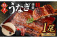 【土用の丑の日に間に合う!】 国産 特大 うなぎ 蒲焼 1尾 （230 ~ 250g） と 特製タレ 1個 セット 鰻 かば焼き