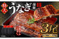 【土用の丑の日に間に合う!】 国産 特大 うなぎ 蒲焼 3尾 (690 ~ 750g) と 特製タレ 3個 セット 鰻 冷凍