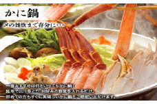 生ずわい蟹 お鍋 セット 1.0kg 【18】 蟹 かに カニ ずわい蟹 ズワイ かに鍋 カニ鍋 鍋 具材 カニしゃぶ 蒸し蟹 焼き蟹  海鮮 BBQ バーベキュー カット済 冷凍