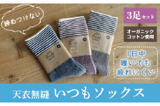 【 Mサイズ：22cm～24cm】 天衣無縫 履き口 締め付けない 内側オーガニックコットン いつもソックス ボーダー 3足 セット han021-ITSUB-M ネイビー ワイン ダークブラウン 靴下 くつ下 綿
