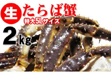 生タラバ蟹 特大サイズ 5L 2kg  ｜ 海鮮 カニ かに 蟹 タラバガニ たらば蟹 足 脚 特大 大型 冷凍