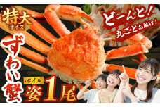 特大 ボイル ズワイ蟹 姿 750g 1尾 ｜ 海鮮 カニ かに 蟹 ズワイガニ かにみそ カニみそ ボイル 瞬間冷凍 冷凍