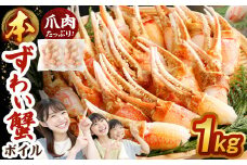 ボイル 本ズワイ蟹 爪肉 たっぷり1kg  ｜海鮮 カニ かに 蟹 ズワイガニ 爪肉 かに爪 ポーション むき身 ボイル カット済 簡単調理 1kg 冷凍