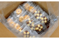 ホテル 仕様 クッキーアソート 8種類 96枚｜クッキー 詰合せ 詰め合わせ セット お菓子 スイーツ 焼菓子 焼き菓子
