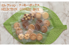 クッキー BOX 60枚