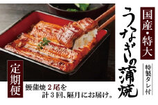 【隔月3回定期便】 国産 うなぎ 蒲焼 2尾 （460 〜 500g） と 特製タレ 2個 セット 鰻 ウナギ 蒲焼き うなぎ蒲焼 セイロ蒸し せいろ蒸し タレ付 冷凍