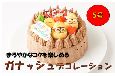 ガナッシュ デコレーション 5号 スイーツ ケーキ チョコレート