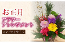 迎春 お正月 フラワー アレンジメント【12月29日に発送】【コンパクト】｜ 花 お花 生花 フラワーアレンジメント 正月 元旦 飾り お祝い 大阪府 阪南市