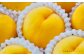 阪南市産 黄金桃 約2kg （6～8玉）_OY01 【2024年8月上旬発送予定】 果物 フルーツ 桃 もも
