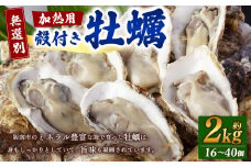 【無選別】加熱用 殻付き牡蠣 約2kg（16～40個）【2025年1月下旬～2025年3月下旬発送予定】｜ 牡蠣 かき カキ 生ガキ 生牡蠣 加熱用 調理用