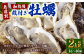 【無選別】加熱用 殻付き牡蠣 約2kg（16～40個）／牡蠣 かき カキ 生ガキ 生牡蠣 加熱用 調理用