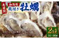 【無選別】加熱用 殻付き牡蠣 約2kg（16～40個）／牡蠣 かき カキ 生ガキ 生牡蠣 加熱用 調理用