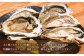 【無選別】加熱用 殻付き牡蠣 約2kg（16～40個）／牡蠣 かき カキ 生ガキ 生牡蠣 加熱用 調理用