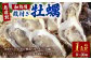 【無選別】加熱用 殻付き牡蠣 約1kg（8～20個） ｜ 牡蠣 かき カキ 生ガキ 生牡蠣 加熱用 調理用