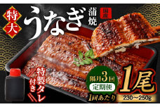 【隔月3回定期便】国産 うなぎ 蒲焼 1尾 （230g～250g）と 特製 タレ 1個 セット ｜ 鰻 国産うなぎ 蒲焼き かば焼き うな重 ひつまぶし ウナギ タレ付き 冷凍 定期便 大阪府 阪南市