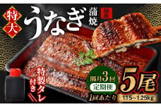 【隔月3回定期便】国産 うなぎ 蒲焼 5尾 （1.15kg～1.25kg）と 特製 タレ 5個 セット｜  鰻 国産うなぎ 蒲焼き かば焼き うな重 ひつまぶし ウナギ タレ付き 冷凍 定期便 大阪府 阪南市