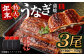 国産うなぎ蒲焼 3尾 と特製タレ3個 セット｜年内発送 年末発送  鰻 ウナギ 蒲焼 うなぎ蒲焼 タレ付 大阪府 阪南市