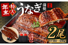 【12/15までの入金確認で年内発送】国産うなぎ蒲焼 2尾（460〜500g）と特製タレ2個セット【2024年12月21日より順次発送】 ｜年内発送 年末発送 お正月 大晦日 年末年始 鰻 ウナギ 蒲焼 うなぎ蒲焼 タレ付 大阪府 阪南市