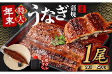 【12/15までの入金確認で年内発送】国産うなぎ蒲焼 1尾（230〜250g）と特製タレ1個セット【2024年12月21日より順次発送】 ｜年内発送 年末発送 お正月 大晦日 年末年始 鰻 ウナギ 蒲焼 うなぎ蒲焼 タレ付 大阪府 阪南市