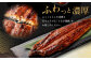 国産うなぎ蒲焼 1尾 と特製タレ1個セット｜年内発送 年末発送  鰻 ウナギ 蒲焼 うなぎ蒲焼 タレ付 大阪府 阪南市