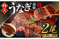 【2025年9月発送】国産 うなぎ 蒲焼 2尾 （460 〜 500g）と 特製タレ 2個 セット｜ 鰻 ウナギ 蒲焼き うなぎ蒲焼 セイロ蒸し せいろ蒸し タレ付 冷凍 大阪府 阪南市