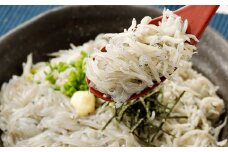 大阪湾産漁師が直送 生しらす 約100g×2個 釜揚げしらす 約80g×3個 計約440g 自宅で 生しらす丼 釜揚げ丼 2色丼が楽しめる ｜ しらす シラス 白子 生 釜揚げ シラス丼
