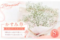 【指定日必須】かすみ草花束 Sサイズ 花 花束 かすみ草 フラワーアレンジメント