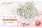 【指定日必須】かすみ草花束 Lサイズ 花 花束 かすみ草 フラワーアレンジメント