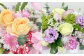【指定日必須】 季節のお花（フラワーアレンジメント）｜花 フラワーアレンジメント フラワー フラワーギフト