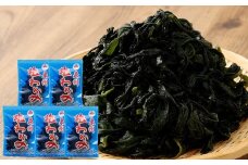 大阪産 塩わかめ 100g×5袋 合計500g