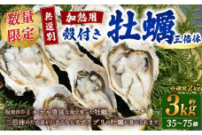 【数量限定】【無選別】加熱用 殻付き牡蠣  約3kg　（35～75）　三倍体 ※通常：約2kg（24～50個） 三倍体／牡蠣 かき カキ 生ガキ 生牡蠣 加熱用 調理用【7月以降発送開始】